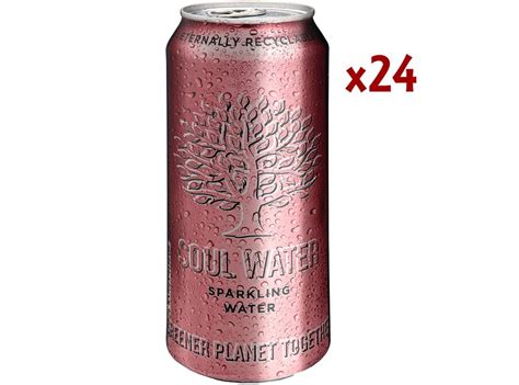 Soul water sparkling 50cl. caja 24unidades - Comprar online