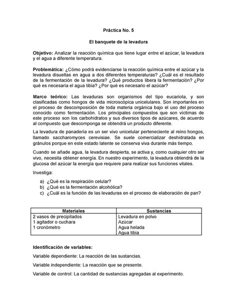 Practica no Analizar la reacción química que tiene lugar entre el