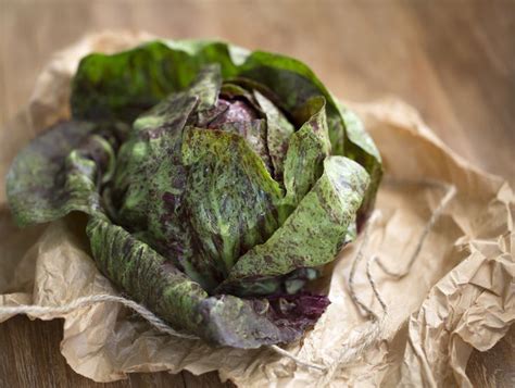 ultimate guide  lettuce  salad green varieties artofit