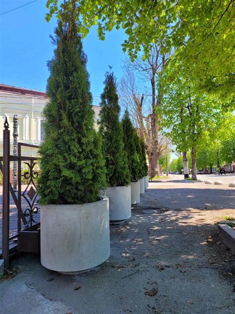 Вазон бетонный, Ваза бетонная, Клумба бетонная.: 3 000 грн. - Витвори ...