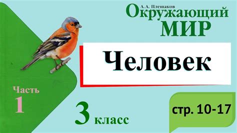 Человек. Окружающий мир. 3 класс, 1 часть. Учебник А. Плешаков стр. 10 ...