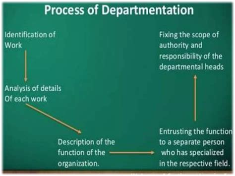 Basic departmentalization, line and staff concept | PPTX