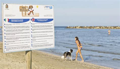 Spiagge Per Cani In Provincia Di Ravenna Genius Camping Magazine