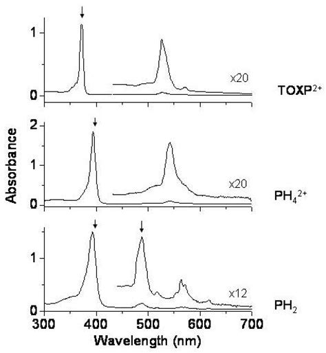 Symmetry Free Full Text Structures Of Annulenes And Model Annulene