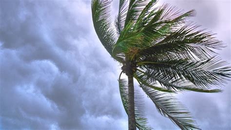 Tormenta Tropical Sara Amenaza El Sureste Mexicano Con Lluvias Intensas