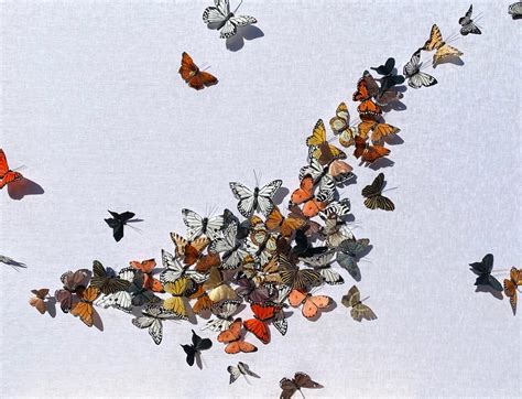 Summer Exhibits at Diehl Gallery in Jackson, Wyoming - Mountain Living