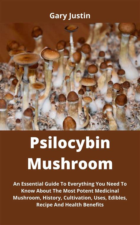 Psilocybin Mushroom An Essential Guide To Everything You Need To