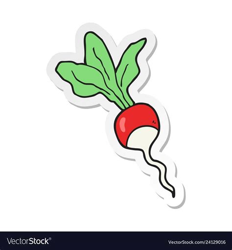 Редиска рисунок - 50 фото