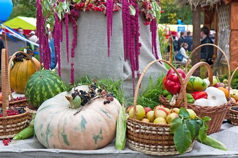 Autumn Harvest festival editorial photography. Image of farmer - 27136837