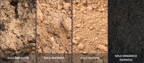 Tipo De Solo Arenoso - Tipos De Solo: Suas Características E Diferenças No Cultivo