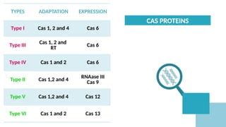 crispr cas system mechanism  types pptx