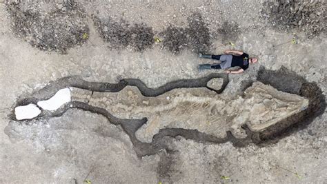 Massive ‘Sea Dragon’ Fossil From Jurassic Period Unearthed