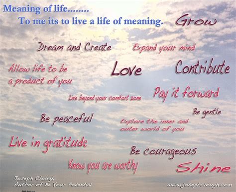 life  meaning