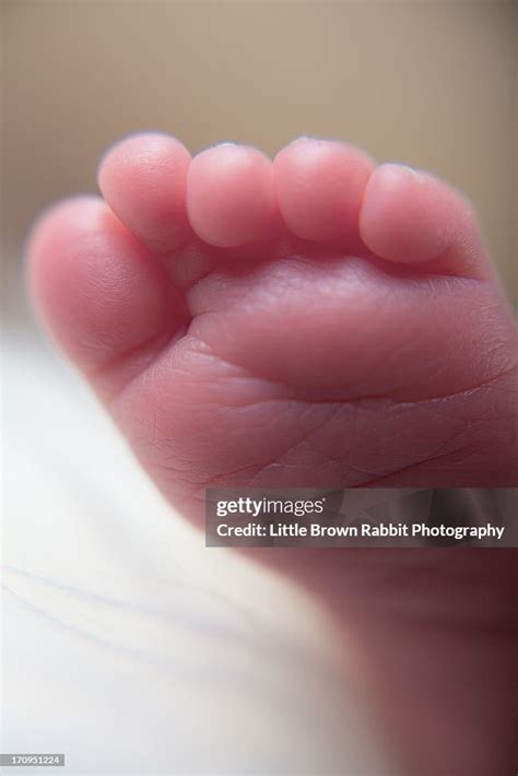 Newborn Baby Foot Stock-Foto - Getty Images