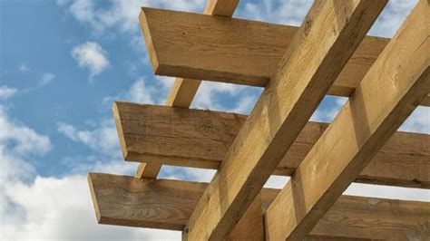 What Is The Best Timber For Your New Pergola Narangba Timbers