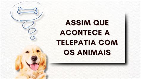 É possível você saber o que seu animal pensa e sente e nesse vídeo te