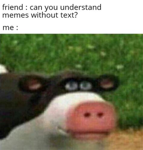 Meme Pictures Without Text
