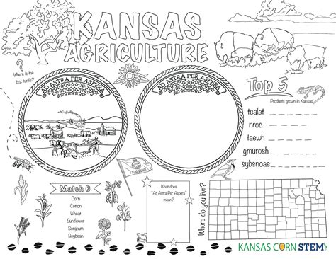 Kansas Day Coloring Pages [2025]