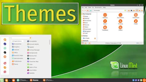 Linux Mint Themes and Icons beyond the default | Average Linux User