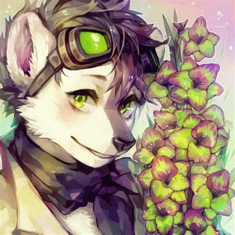 Latest | 🐱Фурриฅ•ω•ฅ Amino