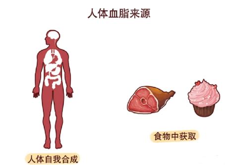 每10人里就有4个血脂异常，降血脂，饮食做好这几点比吃药更管 膳食纤维 降血脂 高血脂 饮食 脂肪 运动 健康界