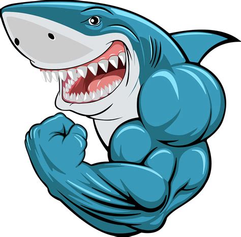 hiu ikan menggambar gambar vektor gratis  pixabay pixabay