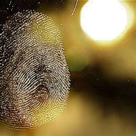 Stream Cyberpunkers Fuck The System Digitale Nation Remix By Digitale Nation Listen