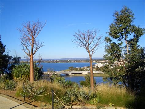 Перт и Брум