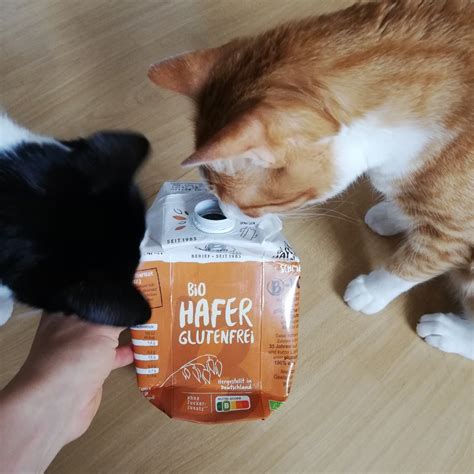 Berief Bio Hafer glutenfrei Reviews | abillion