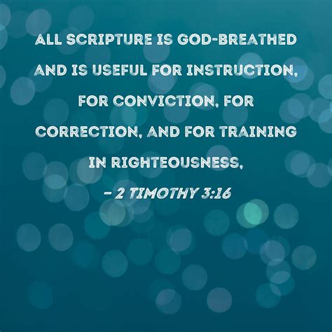 New evidence will soon clarify the whole timothy shall story 6