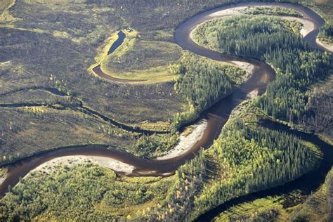 Free Picture Wildlife Landscape Viewing