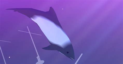 Commerson Dolphin | Abyssrium Wikia | FANDOM powered by Wikia