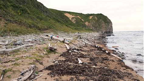 Vid Os Exhibitionist Xvideos