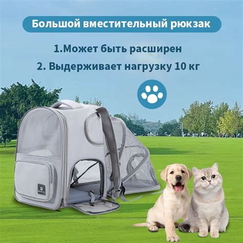 Рюкзак - переноска для кошек и собак раскладная-серый купить на OZON по ...