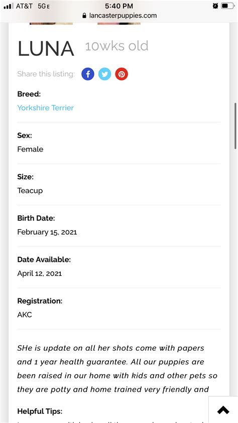 Lancaster Puppies Reviews - 113 Reviews of Lancasterpuppies.com