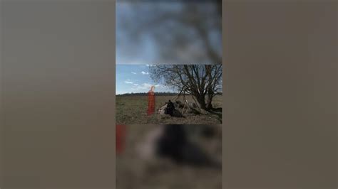 Слёзы Богородицы. #shorts #Православие #Христианство - YouTube