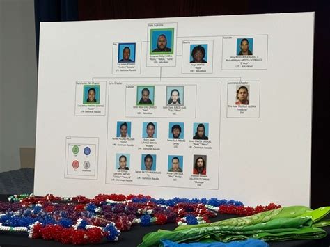 24 Members Of Trinitarios Gang In Mass Charged After Decade Of ‘bloodshed