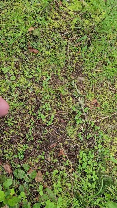 Shooting A Huge Load In The Forest Gay Amateur Porn Feat Xxneptunian Chargerxx Xhamster