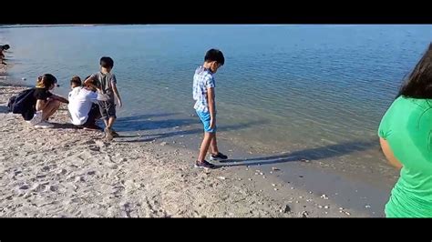 Manila Bay Dolomite Beach Yung Gustong Gusto Niya Mag Tampisaw Sa