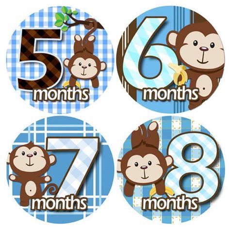 Monthly Baby Stickers Baby Monthly Stickers 1 To 12 Months Month To