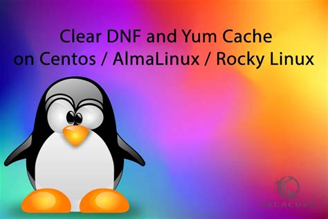 Best Steps To Clear Dnf And Yum Cache Orcacore