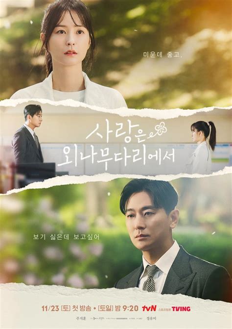 Love Your Enemy Korean Drama 2024 사랑은 외나무다리에서 Hancinema