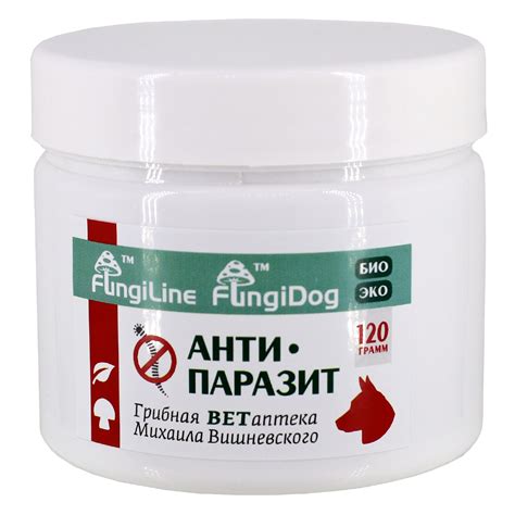 Грибная Аптека Интернет Магазин Спб — Moi-magaz.ru