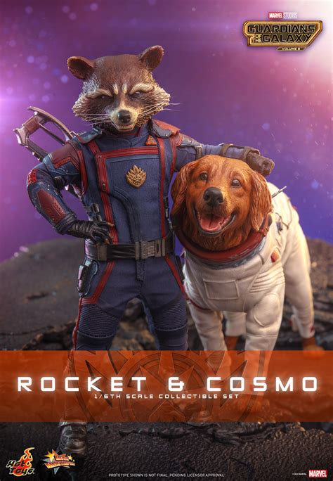 Hot Toys MMS Guardians of the Galaxy Vol Rocket and Cosmo AcareToys จำหนาย ของ