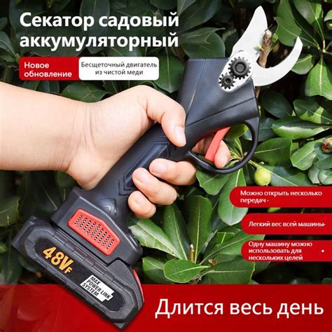 Секатор аккумуляторный (2 аккумулятора в комплекте + кейс ...