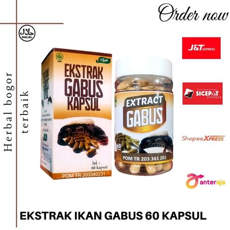 Jual Ekstrak Ikan Gabus SYIFA BPOM 60 Kapsul Kapsul Albumin Ikan