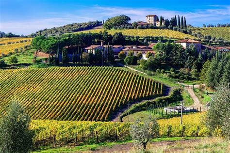 Excursi N A Pisa Siena Y San Gimignano Desde Florencia Hellotickets