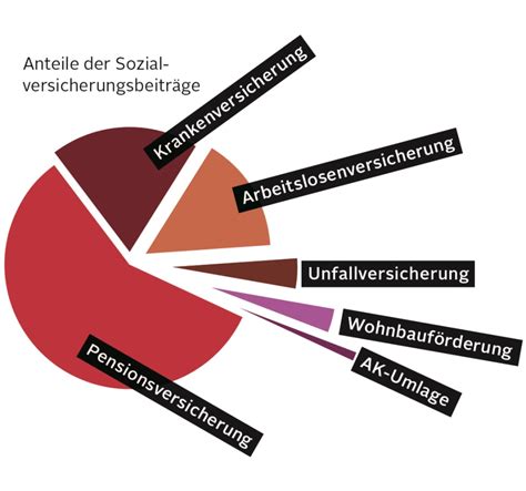 Faktencheck Sozialversicherung KOMPETENZ Online