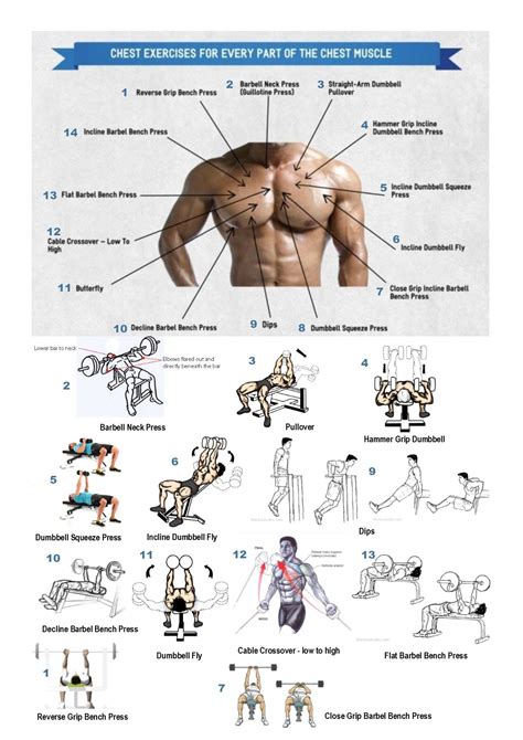 Rutina De Pecho Para Masa Muscular La Mejor Rutina De Pectorales Y