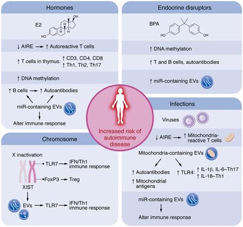 JCI Mechanisms Underlying Sex Differences In Autoimmunity